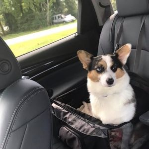 Meet your Posher, Lynn